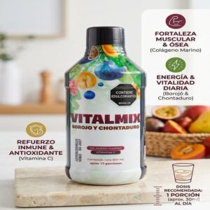 VITALMIX JARABE X 500ML